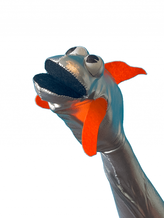 Fish