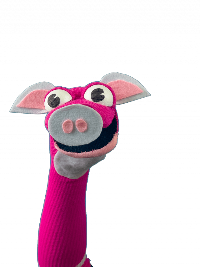 Pig