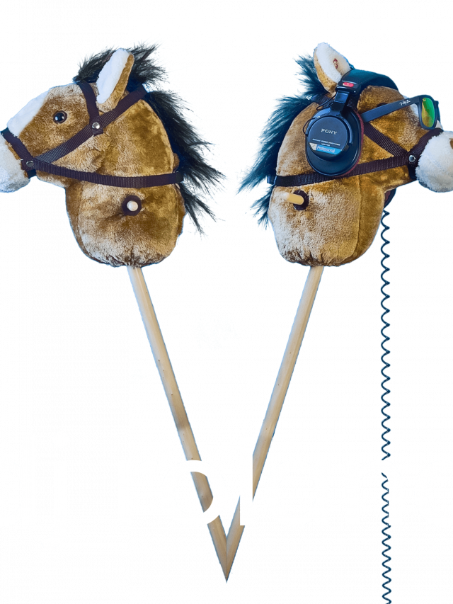 DJ Roland