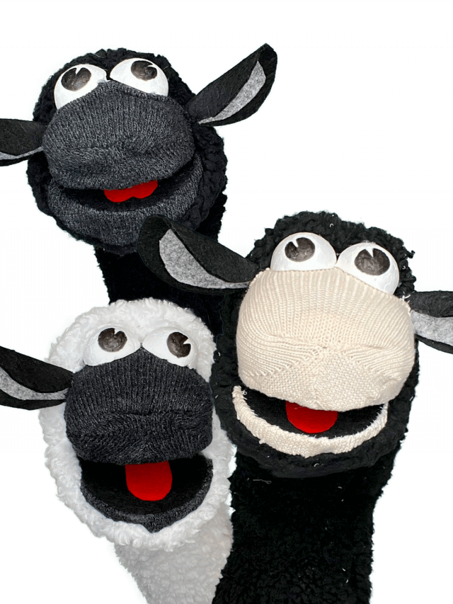 Sheep